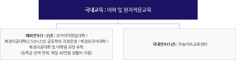 국내교육:해외교수초빙 어학 및 현지적응교육
						-해외연수(1~2년):오카야마현립대학/북경이공대학(2.5년+2년)공동학위 과정운영/북경외국어대학/북경이공대학 및 대학원 과정 유학(등록금 전액 면제,매달 40만원 생활비 지원)
						-국내연수(1년):우송비트교육센터